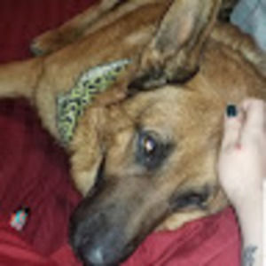 Meet your Posher, Brayden